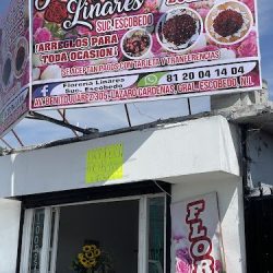 Floreria Linares Suc. Escobedo