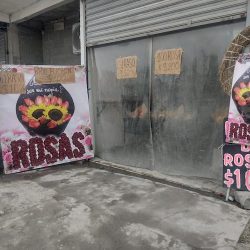 Floreria Linares Suc La Alianza Mty