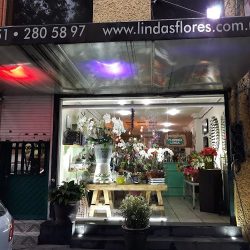 Florería Linda