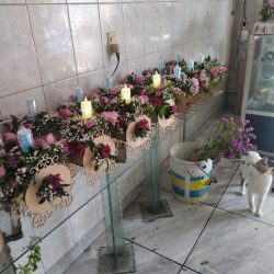 Florería Linda Rosa