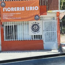 Floreria Lirio