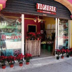 Florería Lirio