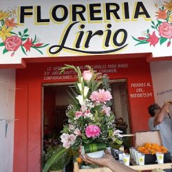 Floreria Lirio