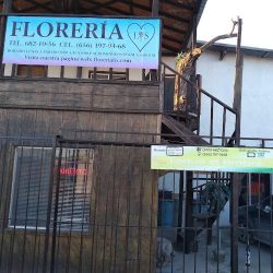 Florería Lis