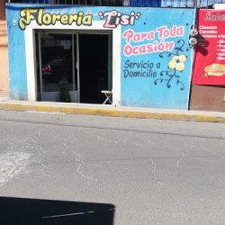 Florería Lisi