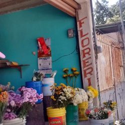 Florería Liver