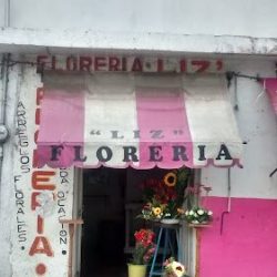 Florería Liz
