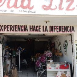 Floreria Liz