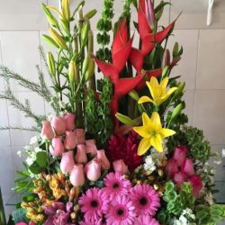 Florería Liz