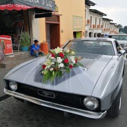 Floreria Liz