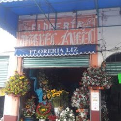 Floreria Liz