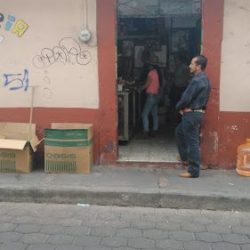 Floreria Liz