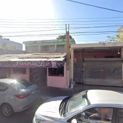 Floreria Liz