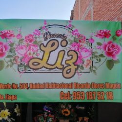 Florería Liz