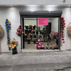 Florería Lizeth