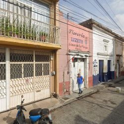 Florería Lizeth