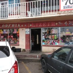 Floreria Lizeth