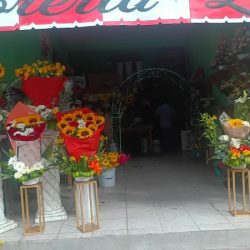 Florería Lizeth Diseñador