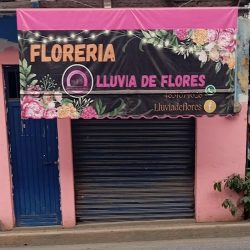 Florería Lluvia De Flores