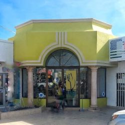 Floreria Loanna Navarrete
