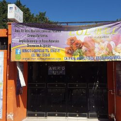 FlorerÍa "lol-bel"