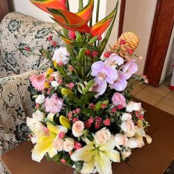 Floreria Lolita