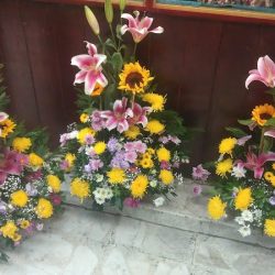 Floreria Lolita