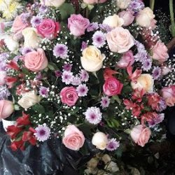Floreria Lolita