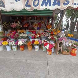 Florería Lomas