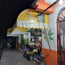 Floreria Lore