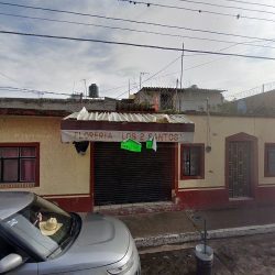 Floreria Los 2 Santos