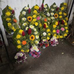 Florería "los Alcatraces"