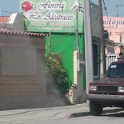 Floreria Los Alcatraces