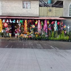 Floreria Los Alcatraces