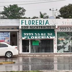 Florería Los Alcatraces
