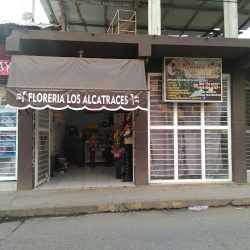 Florería Los Alcatraces Huixtla