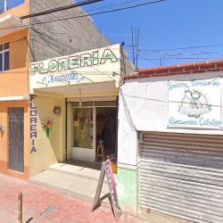 Floreria Los Amarantos