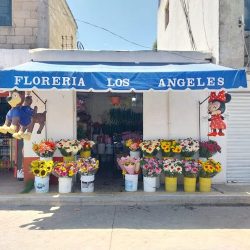 Floreria "los Angeles"
