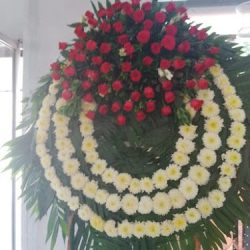Florería Los Ángeles