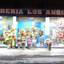 Florería Los Ángeles Acolman ( El Faro)