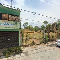 Floreria Los Anturios
