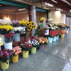 Florería Los Cipreses