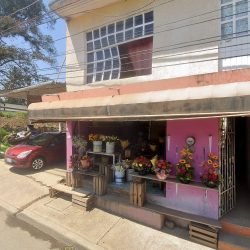 Floreria Los Claveles
