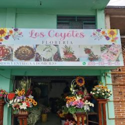 Florería Los Coyotes