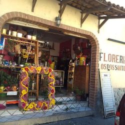 Florería Los Dos Santos Matriz