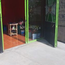 Floreria Los Fresnos