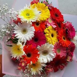 Florería Los Girasoles 🌻