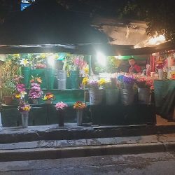 Florería Los Girasoles