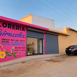 Florería Los Girasoles