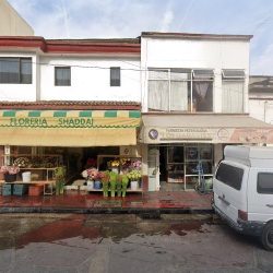 Floreria Los Girasoles